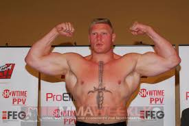 Lesnar - via Daymix