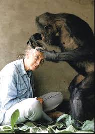 signing by Jane Goodall, - via Daymix