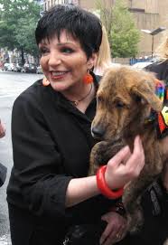 Image File:<b>Liza Minnelli</b>  06.jpg Picture