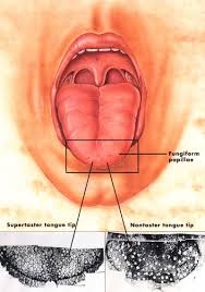 that often house taste buds