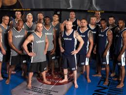 The Ultimate Fighter Battle - via Daymix