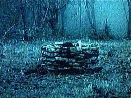 Gotthammer's Halloween Movies - via Daymix