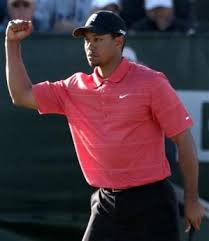 Image the Tiger Woods Picture