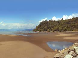 This all-natural beach is 7.8