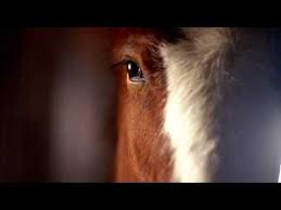 Best Superbowl Commercials Of All Time Video • The Latest News ...
