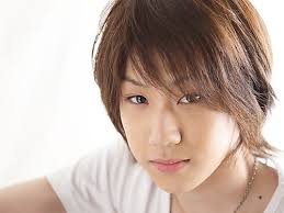 Taichi Saotome - Vox