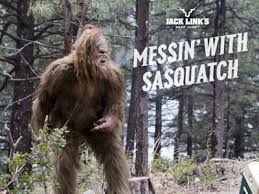 Messin With Sasquatch - via Daymix