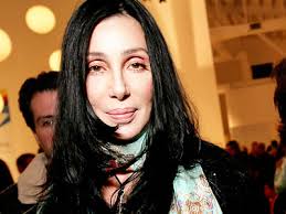 Image Pics: Chers Hawaii Mansion Up Picture