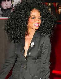 Diana Ross - via Daymix