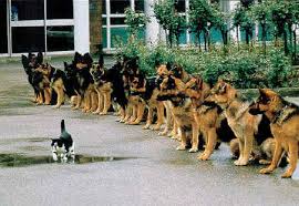 Extreme Self Confidence