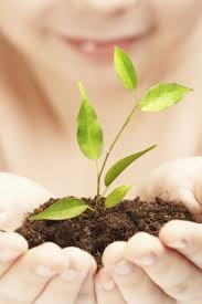 Natural Skin Care Products  Sensitive      