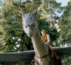 Eragon, the film adaptation of