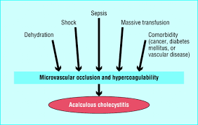 http://www.bmj.com/content/vol325/issue7365/images/large/inda2617.f5.jpeg