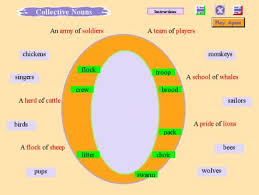 Collective Nouns Exercise