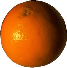 Literary Theory and the Orange