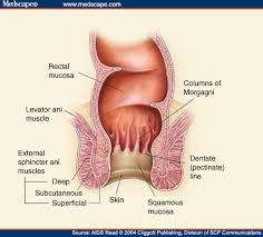   Anal Cancer  