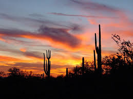   Arizona   Sunset