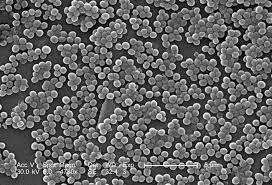 MRSA (Methicillin-Resistant - via Daymix