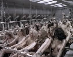 Is your organization a slave