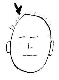 http://0.tqn.com/d/mandarin/1/0/d/M/-/-/head.jpg