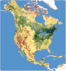 North America - via Daymix