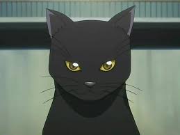 Yoruichi Shihouin