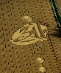 311