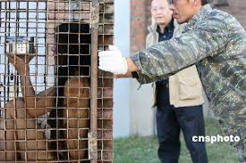组图：全裸女子在798艺术区