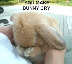 There, there, bunny.