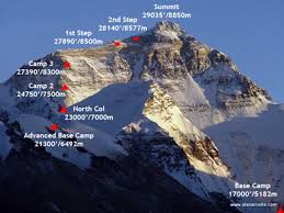 Image from Google