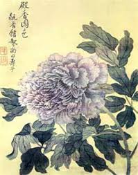 Gallery x26gt Flowers Pink Peony
