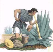 http://www.historiacocina.com/paises/articulos/pulque.html