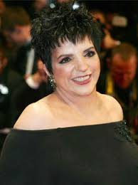 Image <b>Liza Minnelli</b> collapsed Picture