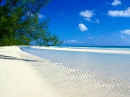 Ross and the Grand Bahamas