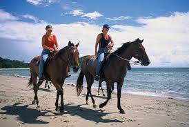 Cape Tribulation Horse riding