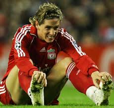 Fernando Torres Image Liverpool Pies: Fernando Torres promises not to dive (Amen to that) Picture 7