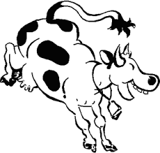Today is Cow Appreciation Day. - via Daymix