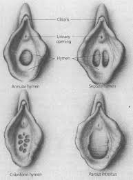 membrane called the hymen,