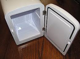Hot and Cold Personal Fridge
