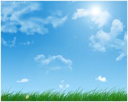 Instant of summer by - via Daymix