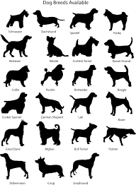 dog breed slates. - via Daymix