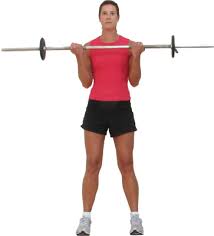 Barbell Bicep Curls - via Daymix