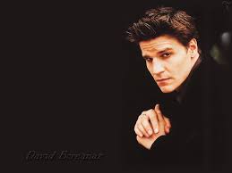 Image <b>David Boreanaz</b> wallpapers Picture