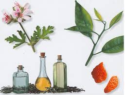 Essential Oils - via Daymix