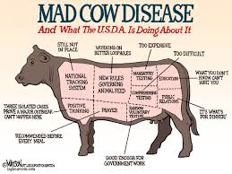 Mad Cow Disease - B12 - via Daymix