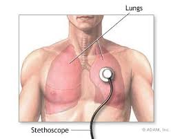  Breath Sounds 