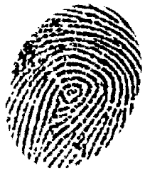 Fingerprint - via Daymix
