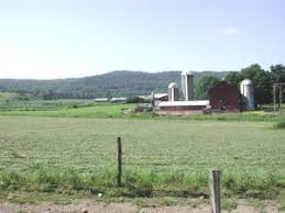 List of urban areas by - via Daymix