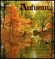 of autumn! - via Daymix