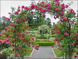 Victorian Rose Garden - via Daymix